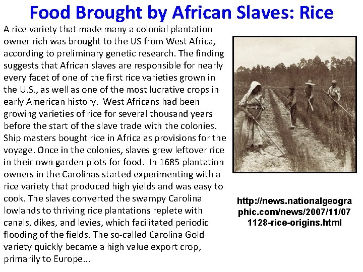 Food Brought by African Slaves: Rice A rice variety that made many a colonial