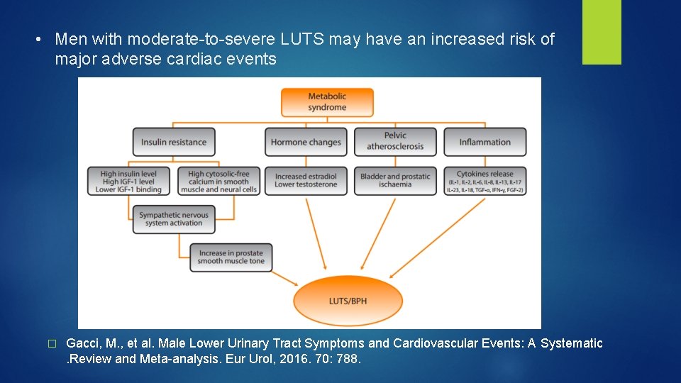  • Men with moderate-to-severe LUTS may have an increased risk of major adverse