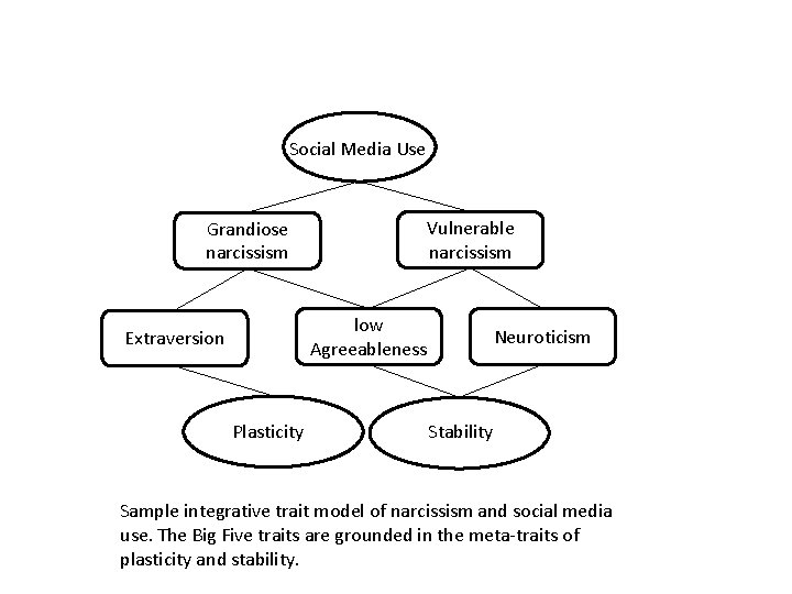 Social Media Use Grandiose narcissism Vulnerable narcissism low Agreeableness Extraversion Plasticity Neuroticism Stability Sample