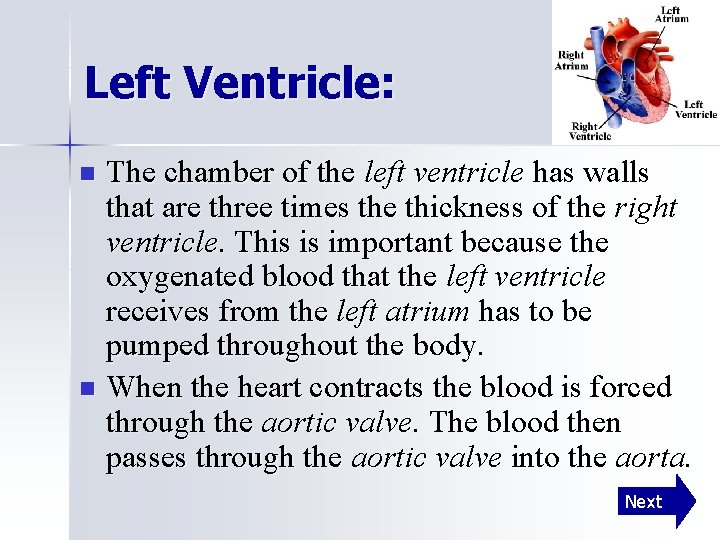 Left Ventricle: The chamber of the left ventricle has walls that are three times