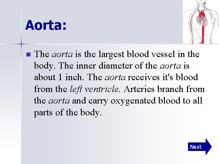 Aorta: n The aorta is the largest blood vessel in the body. The inner