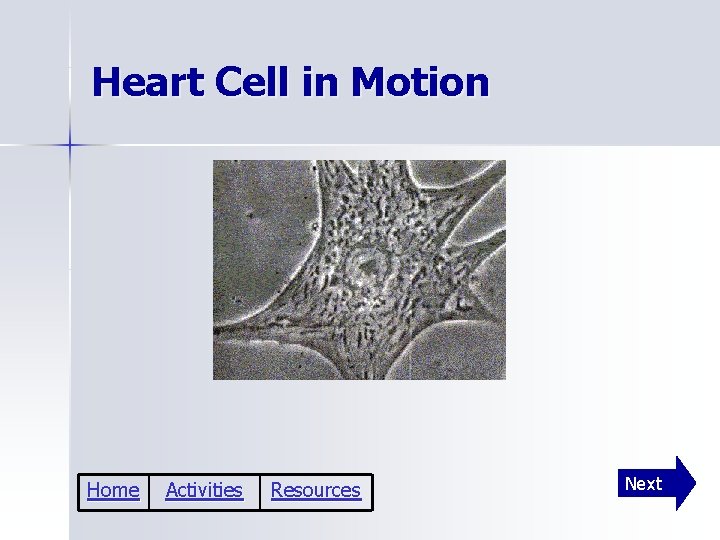Heart Cell in Motion Home Activities Resources Next 