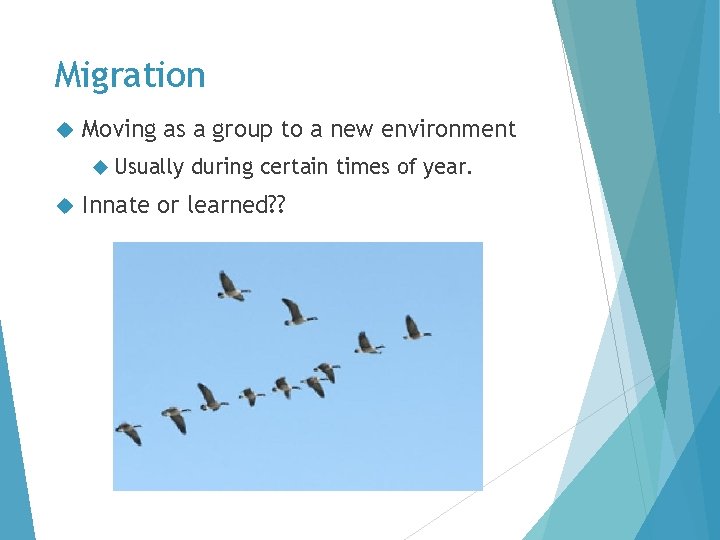 Migration Moving as a group to a new environment Usually during certain times of