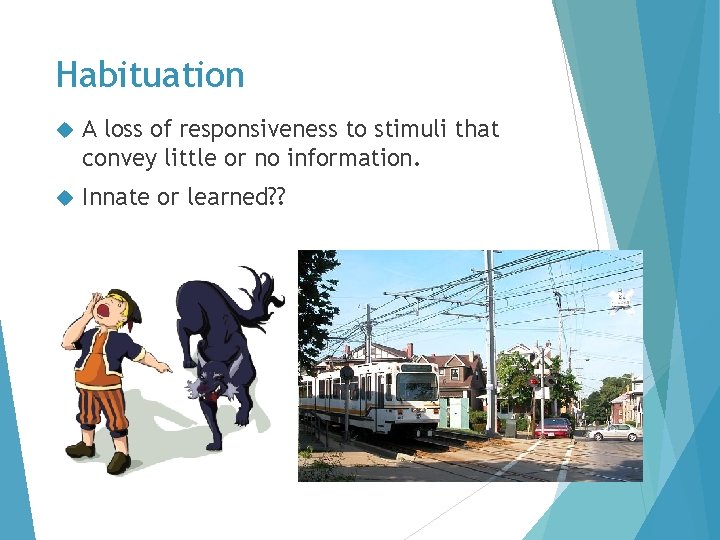 Habituation A loss of responsiveness to stimuli that convey little or no information. Innate Habituation A loss of responsiveness to stimuli that convey little or no information. Innate