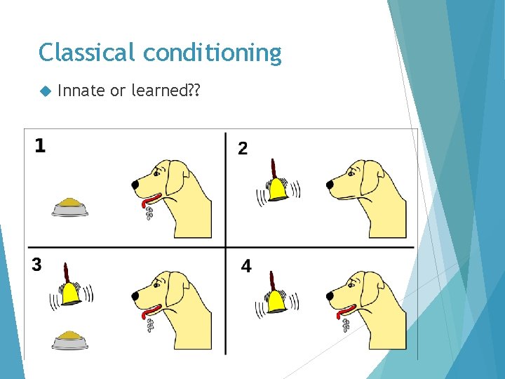 Classical conditioning Innate or learned? ? 
