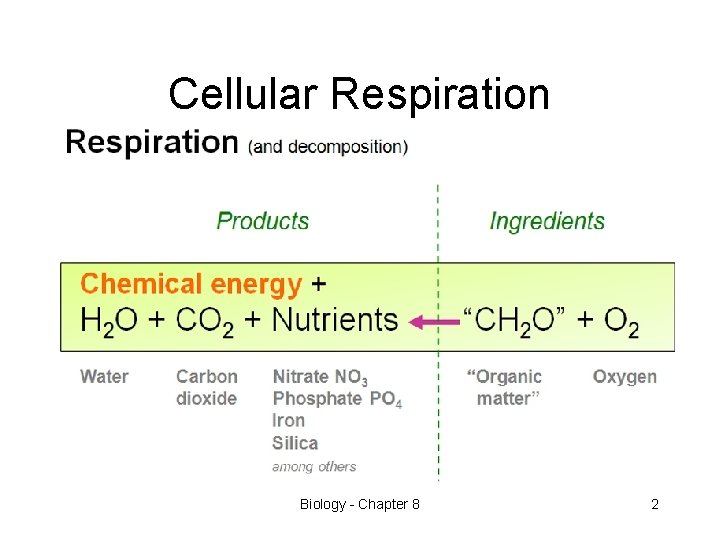 Cellular Respiration Biology - Chapter 8 2 