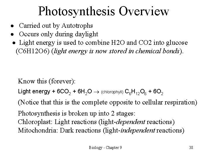 Photosynthesis Overview · Carried out by Autotrophs · Occurs only during daylight · Light
