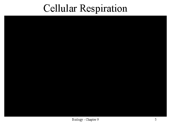 Cellular Respiration Biology - Chapter 9 5 