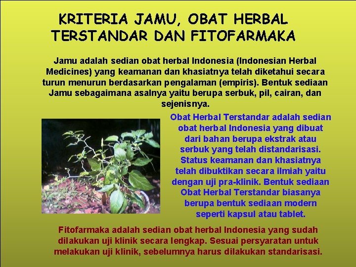 KRITERIA JAMU, OBAT HERBAL TERSTANDAR DAN FITOFARMAKA Jamu adalah sedian obat herbal Indonesia (Indonesian