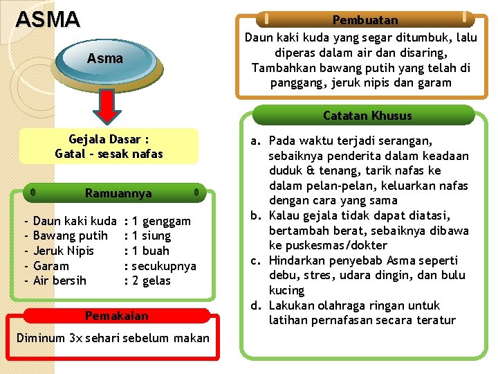 ASMA Pembuatan Daun kaki kuda yang segar ditumbuk, lalu diperas dalam air dan disaring,