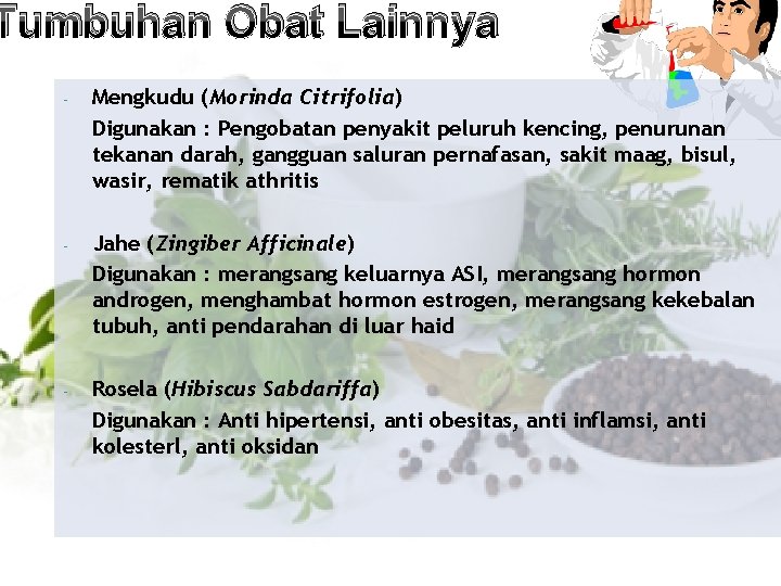 Tumbuhan Obat Lainnya - Mengkudu (Morinda Citrifolia) Digunakan : Pengobatan penyakit peluruh kencing, penurunan