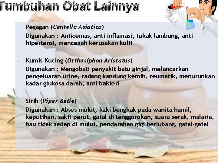 Tumbuhan Obat Lainnya - Pegagan (Centella Asiatica) Digunakan : Anticemas, anti inflamasi, tukak lambung,