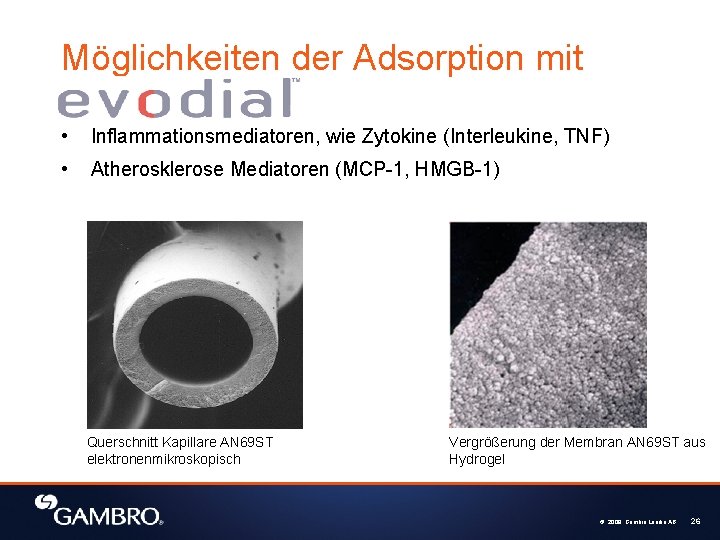 Möglichkeiten der Adsorption mit • Inflammationsmediatoren, wie Zytokine (Interleukine, TNF) • Atherosklerose Mediatoren (MCP-1,