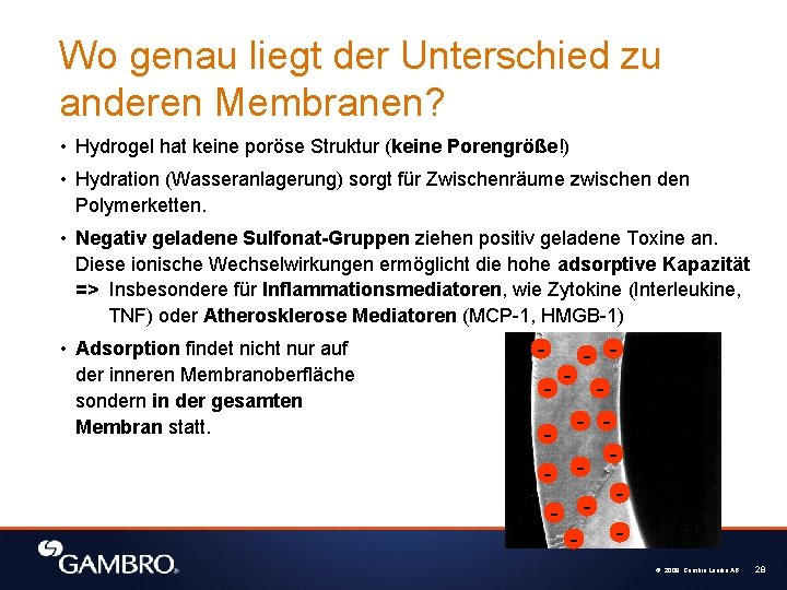 Wo genau liegt der Unterschied zu anderen Membranen? • Hydrogel hat keine poröse Struktur