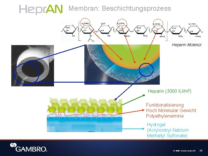 Membran: Beschichtungsprozess Heparin Molekül Heparin (3000 IU/m 2) Funktionalisierung Hoch Molekular Gewicht Polyethyleneimine Hydrogel