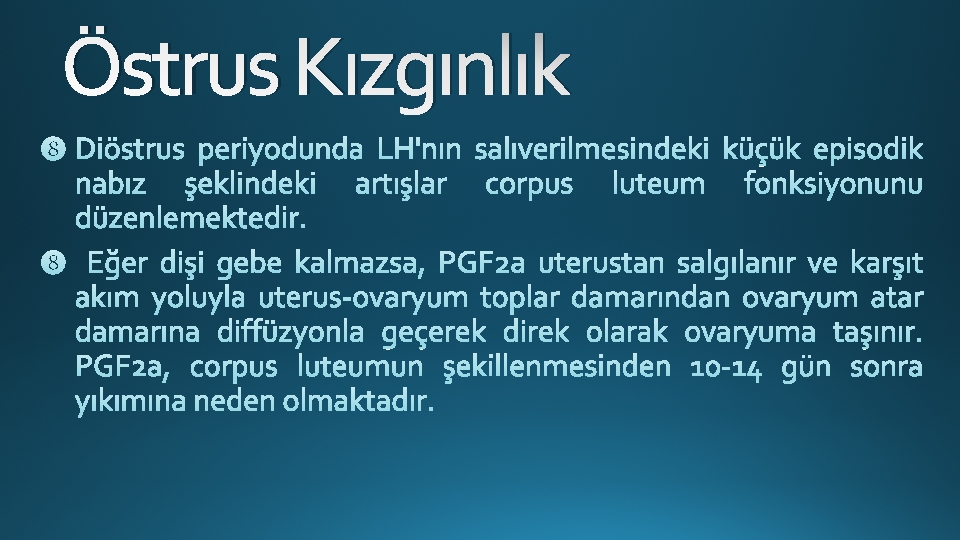 Östrus Kızgınlık 