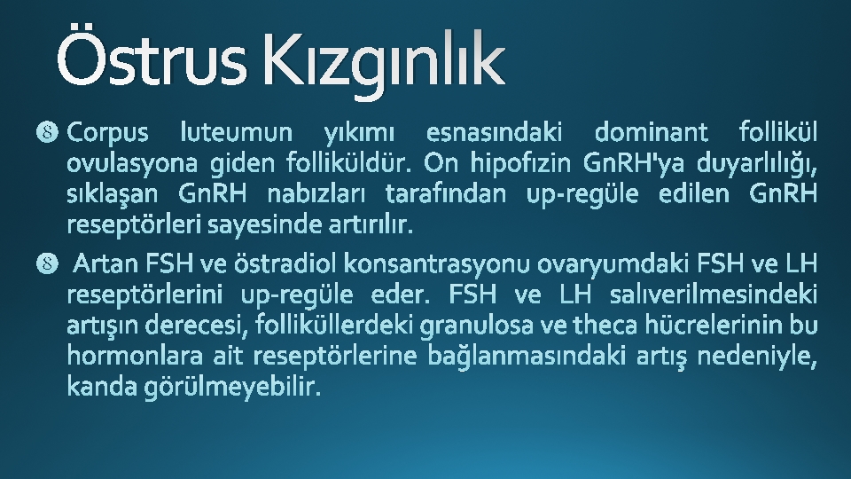 Östrus Kızgınlık 
