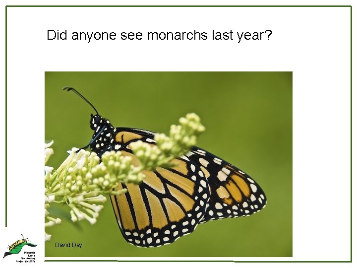 Did anyone see monarchs last year? 21 David Day 