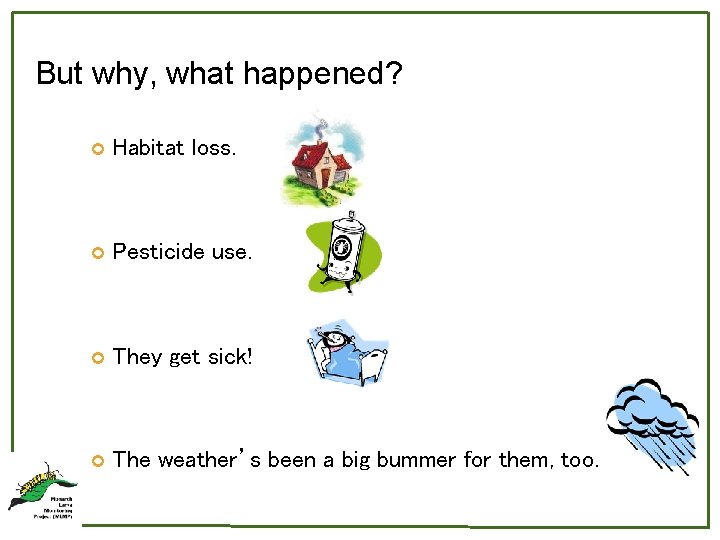 But why, what happened? Habitat loss. Pesticide use. They get sick! The weather’s been