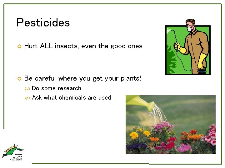 Pesticides Hurt ALL insects, even the good ones Be careful where you get your