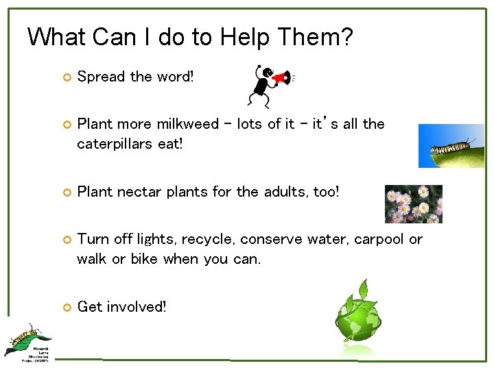 What Can I do to Help Them? Spread the word! Plant more milkweed –