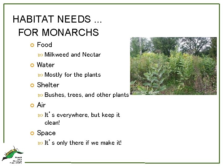 HABITAT NEEDS. . . FOR MONARCHS Food Milkweed Water Mostly for the plants Shelter