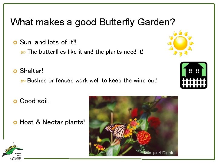What makes a good Butterfly Garden? Sun, and lots of it!! The butterflies like