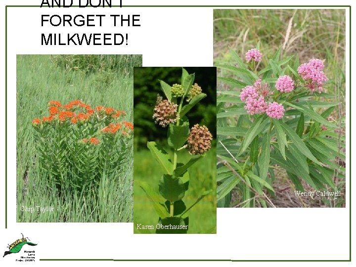 AND DON’T FORGET THE MILKWEED! Wendy Caldwell Chip Taylor Karen Oberhauser 