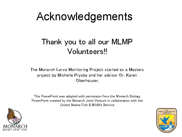Acknowledgements Thank you to all our MLMP Volunteers!! The Monarch Larva Monitoring Project started