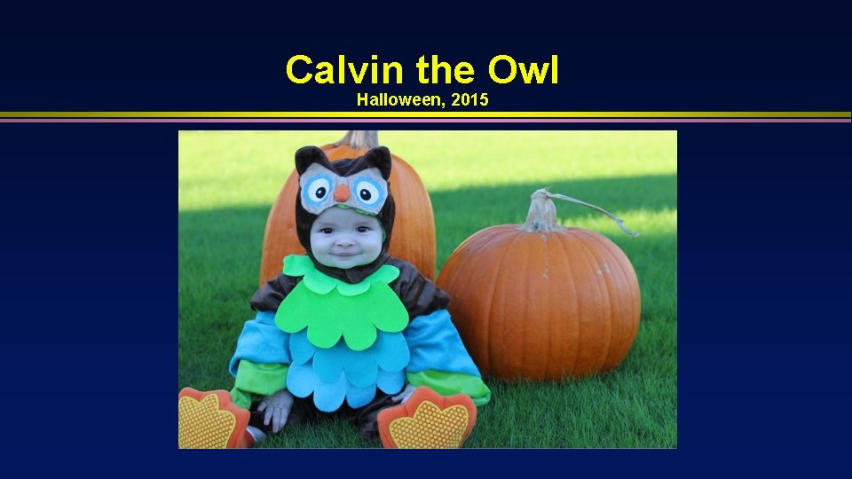 Calvin the Owl Halloween, 2015 