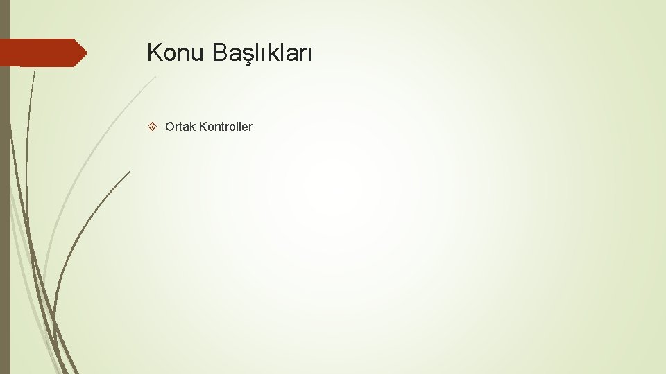 Konu Başlıkları Ortak Kontroller 