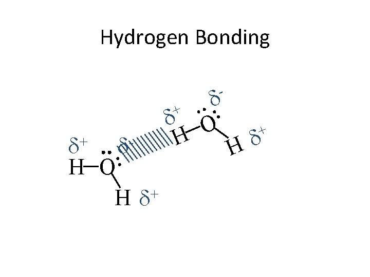 Hydrogen Bonding - + d+ d. H O + Hd d H d O Hydrogen Bonding - + d+ d. H O + Hd d H d O