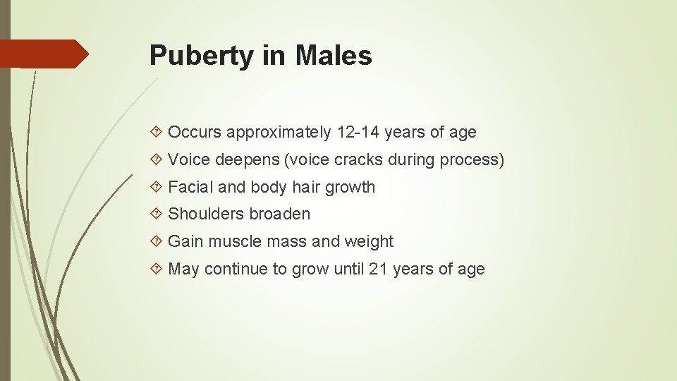 Puberty in Males Occurs approximately 12 -14 years of age Voice deepens (voice cracks
