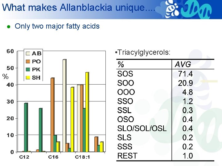 What makes Allanblackia unique. . l Only two major fatty acids • Triacylglycerols: %