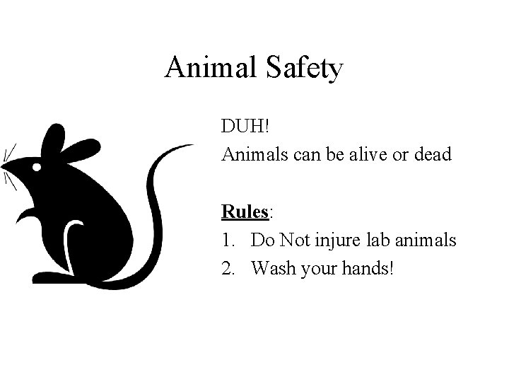 Animal Safety DUH! Animals can be alive or dead Rules: 1. Do Not injure