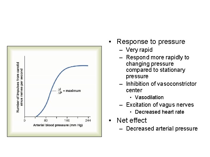  • Response to pressure – Very rapid – Respond more rapidly to changing