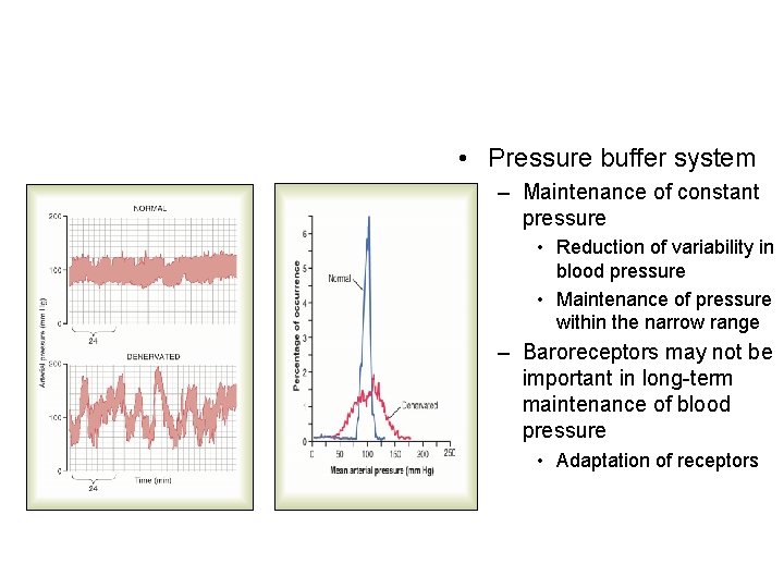 • Pressure buffer system – Maintenance of constant pressure • Reduction of variability