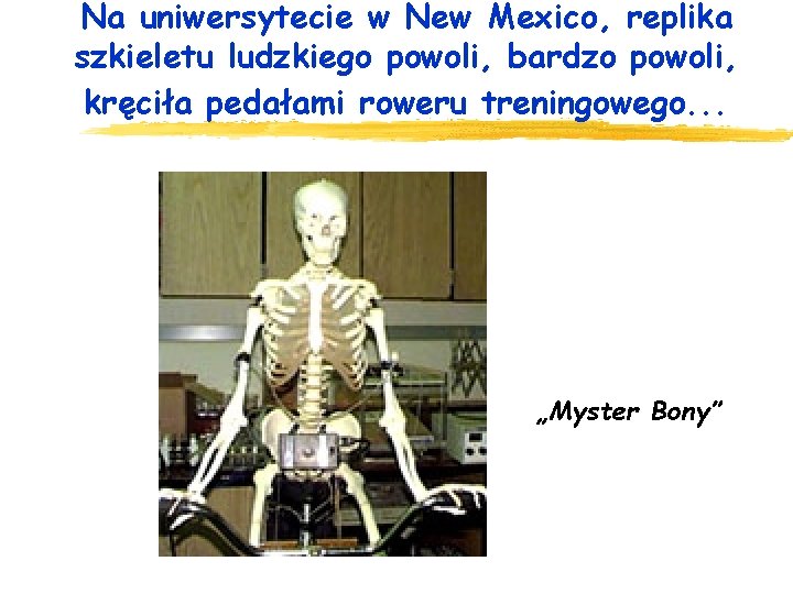 Na uniwersytecie w New Mexico, replika szkieletu ludzkiego powoli, bardzo powoli, kręciła pedałami roweru