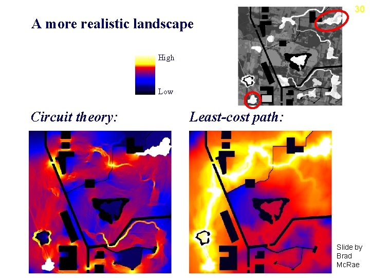 30 A more realistic landscape High Low Circuit theory: Least-cost path: Slide by Brad