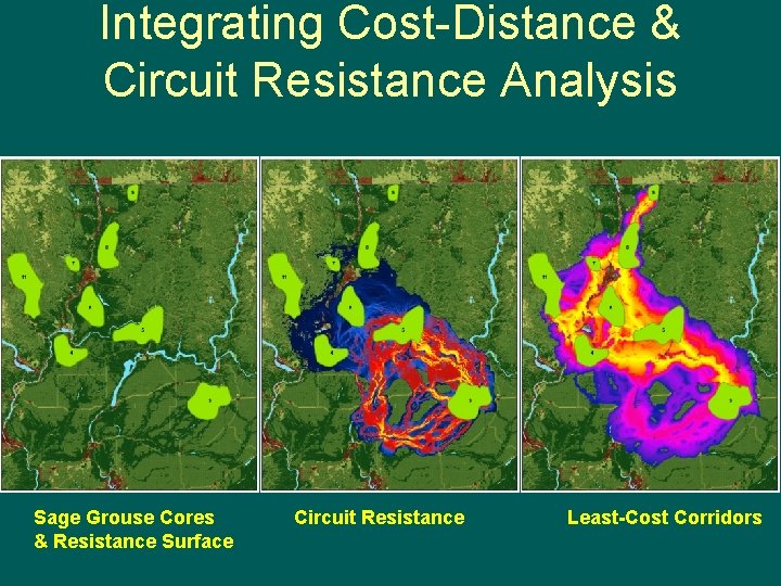 Integrating Cost-Distance & Circuit Resistance Analysis Sage Grouse Cores & Resistance Surface Circuit Resistance