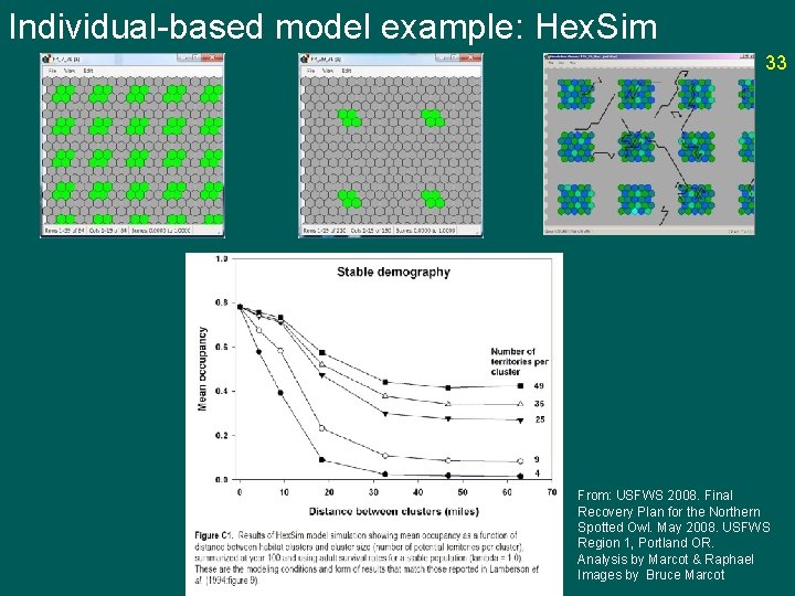 Individual-based model example: Hex. Sim 33 From: USFWS 2008. Final Recovery Plan for the