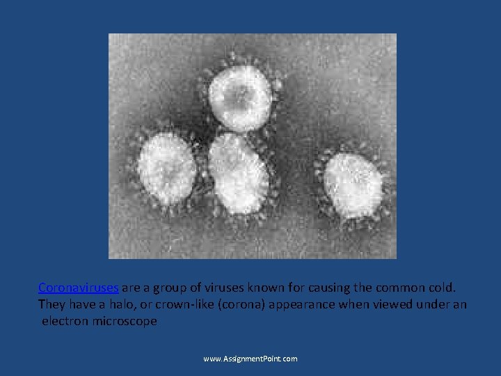 Coronaviruses are a group of viruses known for causing the common cold. They have