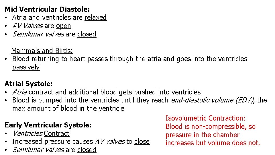 Mid Ventricular Diastole: • Atria and ventricles are relaxed • AV Valves are open