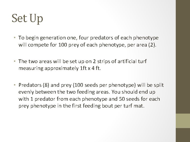 Set Up • To begin generation one, four predators of each phenotype will compete Set Up • To begin generation one, four predators of each phenotype will compete