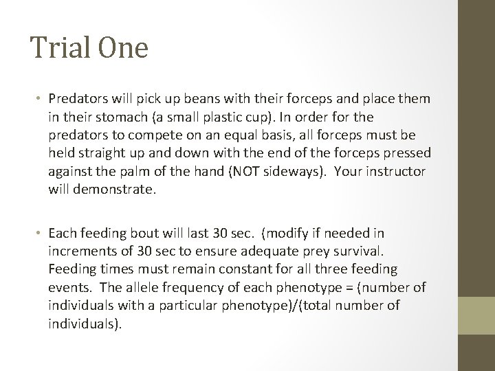 Trial One • Predators will pick up beans with their forceps and place them Trial One • Predators will pick up beans with their forceps and place them