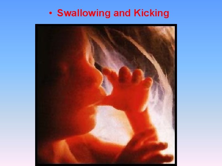  • Swallowing and Kicking 