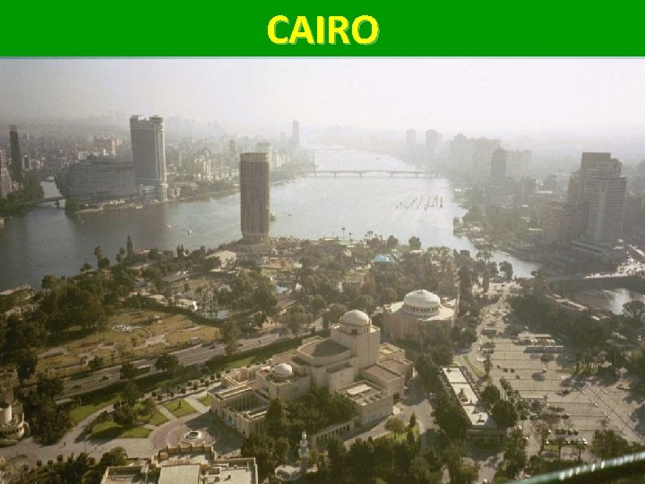 CAIRO 79 