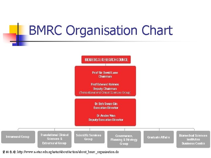 BMRC Organisation Chart 資料來源: http: //www. a-star. edu. sg/astar/about/action/about_bmrc_organisation. do 