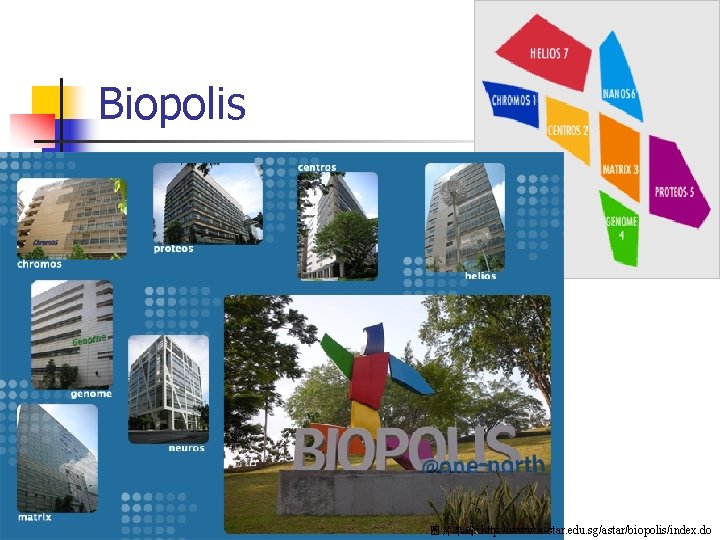 Biopolis 圖片來源: http: //www. a-star. edu. sg/astar/biopolis/index. do 