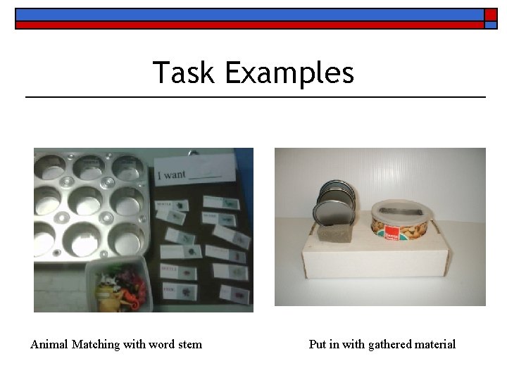 Task Examples Animal Matching with word stem Put in with gathered material 